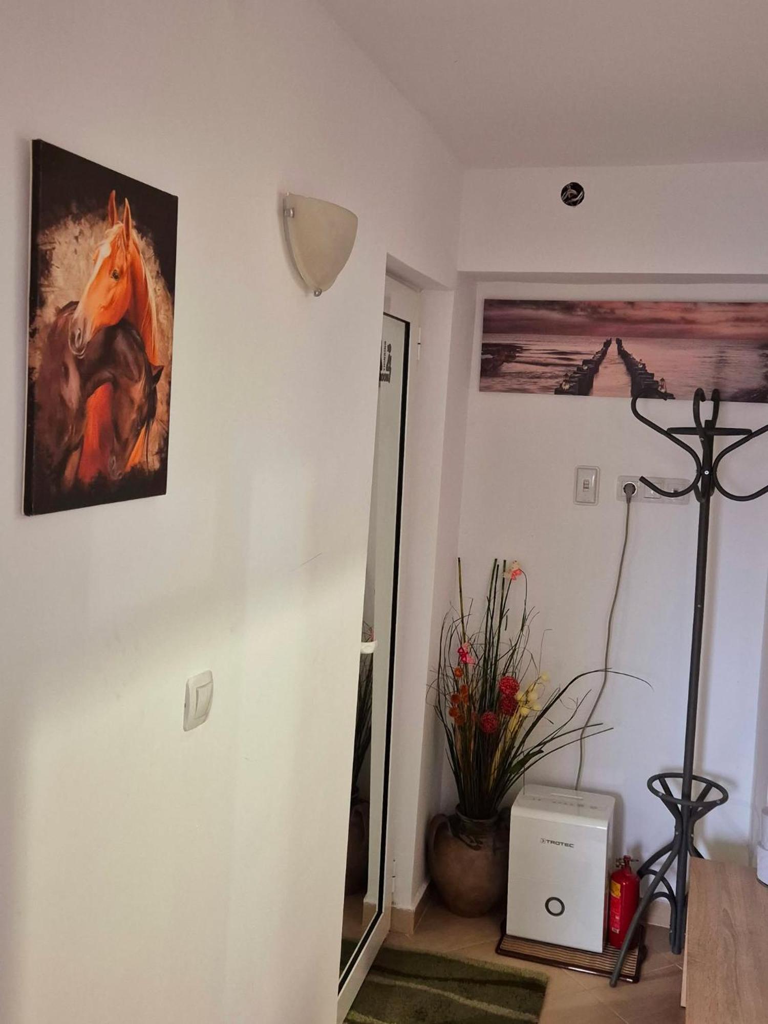 Apartment Shesti Uchastak กาโบรโว ภายนอก รูปภาพ